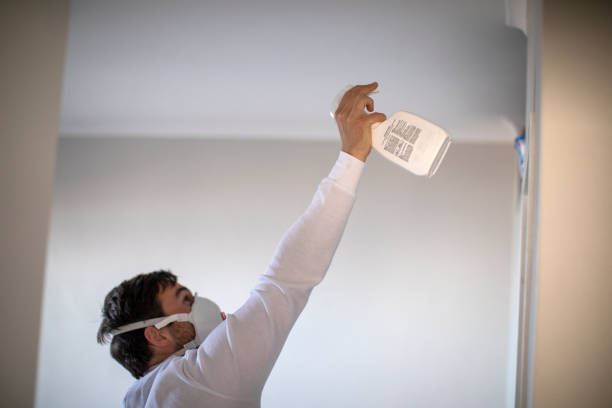 Best Mold Removal Near Me  in Mountville, PA