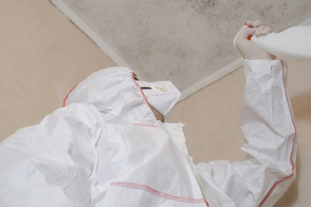 Best Certified Mold Removal  in Mountville, PA