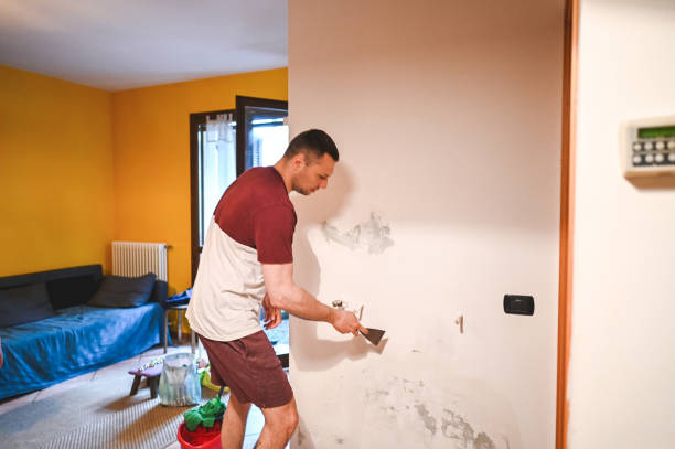 Best Crawl Space Mold Removal  in Mountville, PA