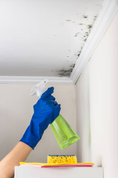 Mold Testing and Removal in Mountville, PA